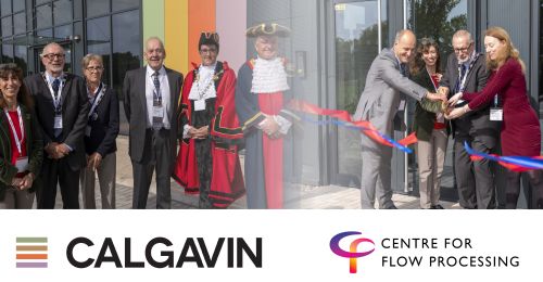 Hit Ran Calgavin CALGAVIN News
