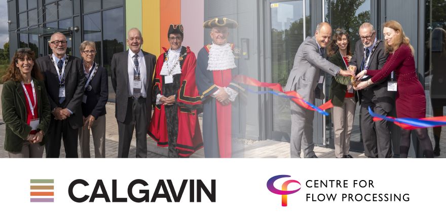 Calgavin Hit Ran CALGAVIN