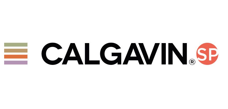 CALGAVIN®.SP Engineering Software has been Released